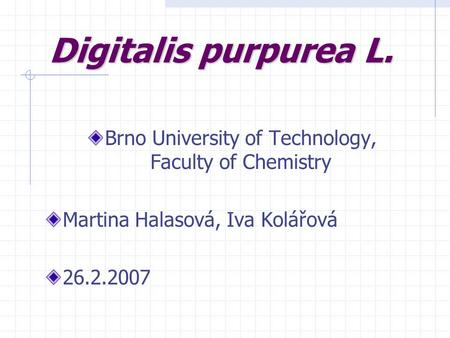 Digitalis purpurea L. Brno University of Technology, Faculty of Chemistry Martina Halasová, Iva Kolářová 26.2.2007.