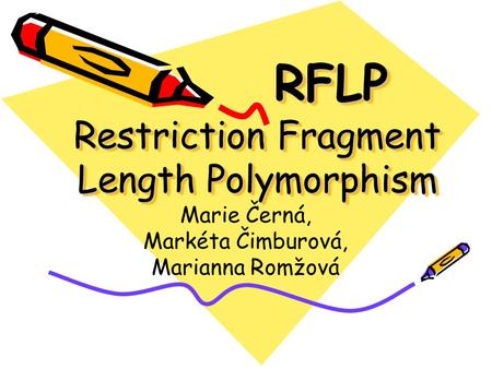 RFLP Restriction Fragment Length Polymorphism Marie Černá, Markéta Čimburová, Marianna Romžová.