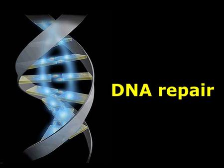 DNA repair. spontaneous vs. induced mutation gametic vs. somatic mutation lethal or conditional mutation Classification of the mutation.