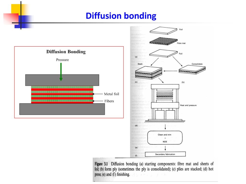 view elective affinities testing word and image