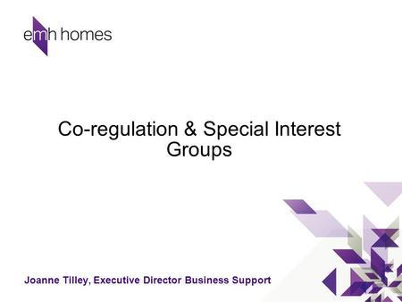 Co-regulation & Special Interest Groups Joanne Tilley, Executive Director Business Support.