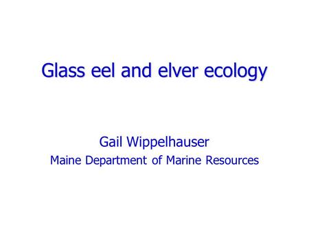 Glass eel and elver ecology Gail Wippelhauser Maine Department of Marine Resources.