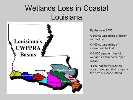 Wetlands Loss in Coastal Louisiana By the year 2050:  600 square miles of marsh will be lost  400 square miles of swamp will be lost  1,000 square miles.