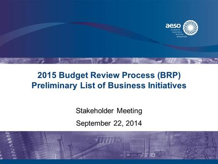 2015 Budget Review Process (BRP) Preliminary List of Business Initiatives Stakeholder Meeting September 22, 2014.