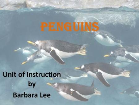 Unit of Instruction by Barbara Lee
