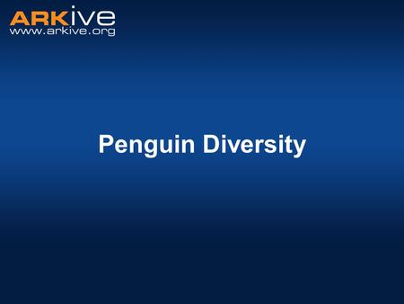 Penguin Diversity. What is adaptation? “the way animals and plants become better at living in their habitat” Adaptations allow animals and plants to live.