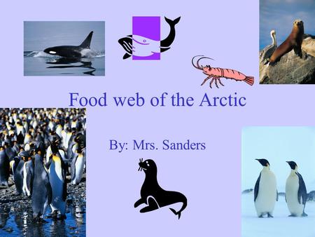 Food web of the Arctic By: Mrs. Sanders Plankton Plankton are microscopic organisms that float freely with oceanic currents and in other bodies of water.