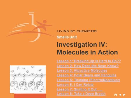 Investigation IV: Molecules in Action