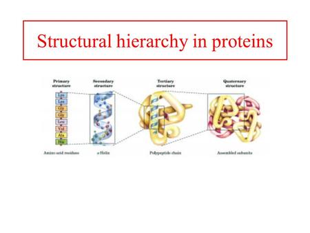 Structural hierarchy in proteins. Color conventions.