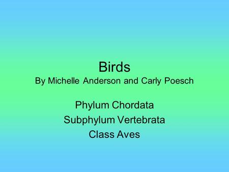 Birds By Michelle Anderson and Carly Poesch