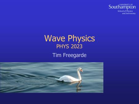 Wave Physics PHYS 2023 Tim Freegarde. 2 Coming up in Wave Physics... local and macroscopic definitions of a wavetransverse waves on a string: wave equation.