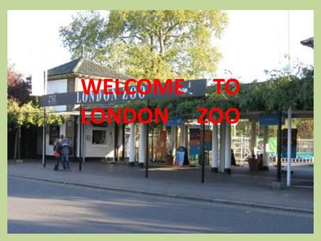 WELCOME TO LONDON ZOO. London Zoo is one of the most famous of all London attractions. It is situated in Regent’s Park and was opened in 1828 by the Zoological.
