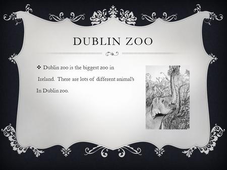 DUBLIN ZOO  Dublin zoo is the biggest zoo in Ireland. There are lots of different animal’s In Dublin zoo.