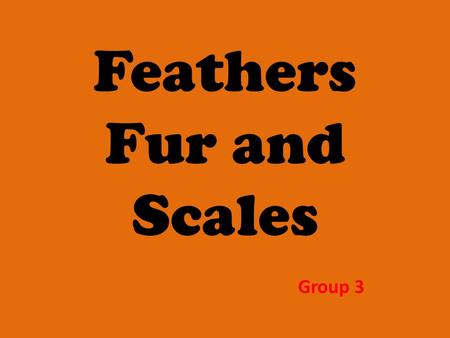 Feathers Fur and Scales Group 3. Cat Cats have feathers fur or scales ?