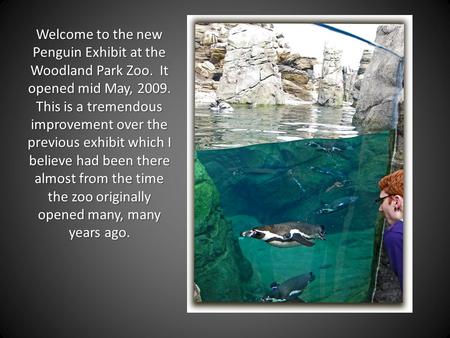 Welcome to the new Penguin Exhibit at the Woodland Park Zoo. It opened mid May, 2009. This is a tremendous improvement over the previous exhibit which.