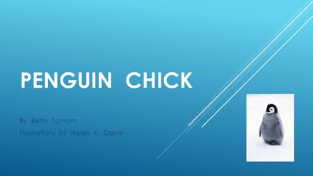 PENGUIN CHICK By Betty Tatham Illustrations by Helen K. Davie.