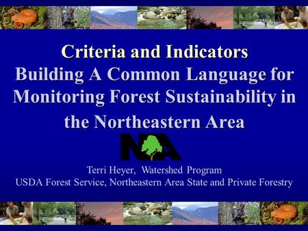 Criteria and Indicators Building A Common Language for Monitoring Forest Sustainability in the Northeastern Area Terri Heyer, Watershed Program USDA Forest.