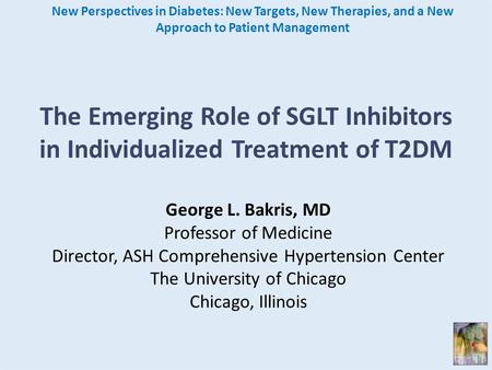 The Emerging Role of SGLT Inhibitors in Individualized Treatment of T2DM New Perspectives in Diabetes: New Targets, New Therapies, and a New Approach to.