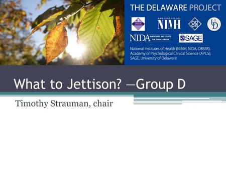 What to Jettison? —Group D Timothy Strauman, chair.
