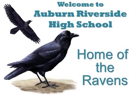 Welcome to Auburn Riverside High School Home of the Ravens.