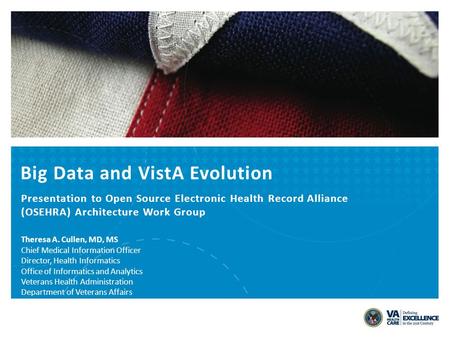Big Data and VistA Evolution
