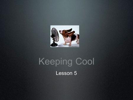 Keeping Cool Lesson 5. During conflict, we all experience a jumble of feelings, symptoms, and thoughts. What are some of the feelings we might experience?