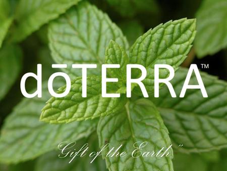 “Gift of the Earth”. Natural aromatic compounds in the seeds, bark, stems, roots, flowers, and other parts of plants. © 2008 dōTERRA Holdings, LLC, Unauthorized.