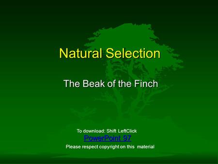 Natural Selection The Beak of the Finch PowerPoint 97 To download: ShiftLeftClick Please respect copyright on this material.