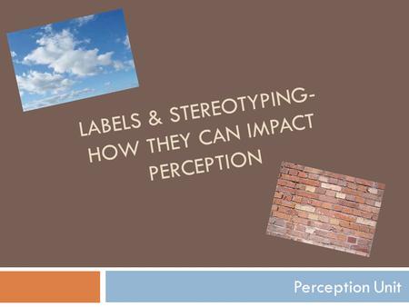 LABELS & STEREOTYPING- HOW THEY CAN IMPACT PERCEPTION Perception Unit.