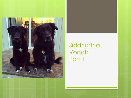 Siddhartha Vocab Part 1. Avaricious  Adjective  Greedy  My avaricious puppy Maya always tries to steal Macy’s food.