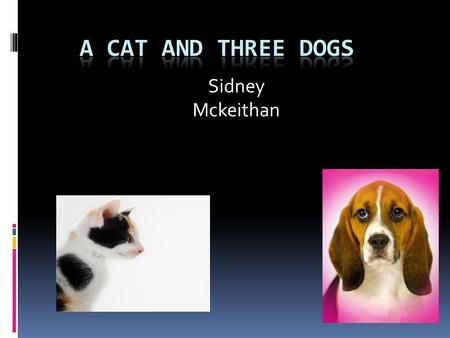 Sidney Mckeithan A Cat and Three Dogs Once upon a time there was a cat that went to a house in the woods. The cat did not know where it was. It had been.