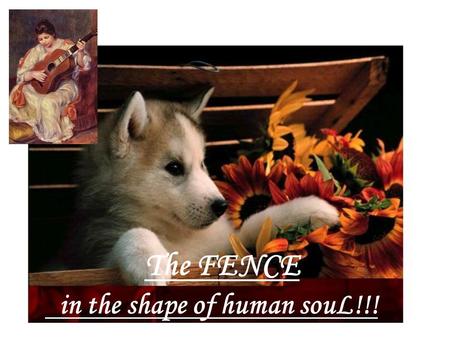The FENCE in the shape of human souL!!! There was a small boy, who got upset easily… as that happened often…