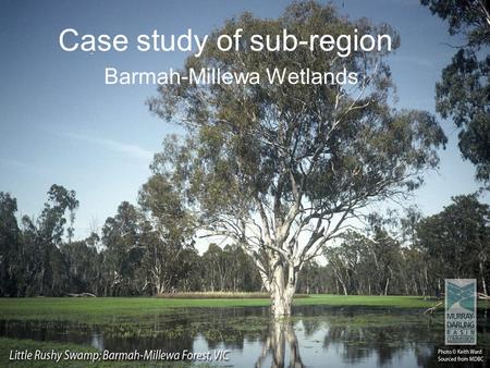 Case study of sub-region Barmah-Millewa Wetlands.