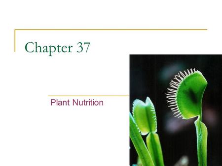 Chapter 37 Plant Nutrition. Nutrient Reservoirs  Every organism continually exchanges energy and materials with its environment  For plants…water and.