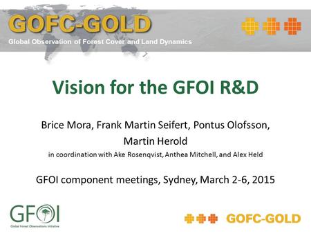 Vision for the GFOI R&D Brice Mora, Frank Martin Seifert, Pontus Olofsson, Martin Herold in coordination with Ake Rosenqvist, Anthea Mitchell, and Alex.