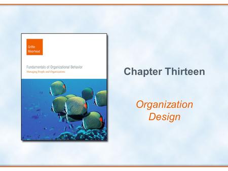 Chapter Thirteen Organization Design.