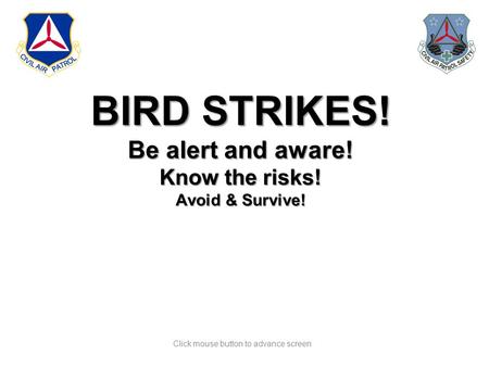 Click mouse button to advance screen BIRD STRIKES! Be alert and aware! Know the risks! Avoid & Survive!
