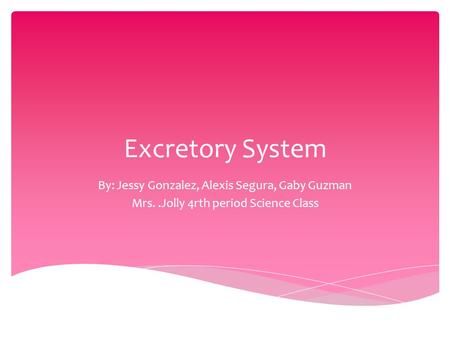 Excretory System By: Jessy Gonzalez, Alexis Segura, Gaby Guzman Mrs..Jolly 4rth period Science Class.
