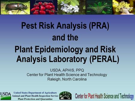 Pest Risk Analysis (PRA)