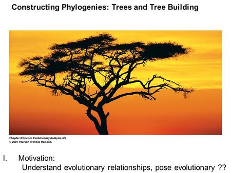 Constructing Phylogenies: Trees and Tree Building I.Motivation: Understand evolutionary relationships, pose evolutionary ??