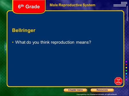 Copyright © by Holt, Rinehart and Winston. All rights reserved. ResourcesChapter menu Male Reproductive System Bellringer What do you think reproduction.