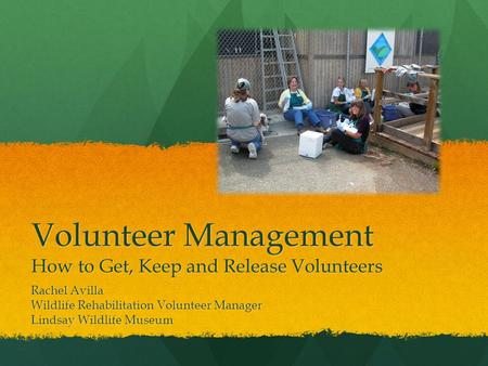 Volunteer Management How to Get, Keep and Release Volunteers Rachel Avilla Wildlife Rehabilitation Volunteer Manager Lindsay Wildlife Museum.