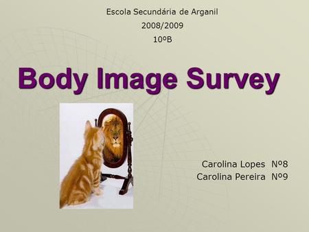 Body Image Survey Carolina Lopes Nº8 Carolina Pereira Nº9 Escola Secundária de Arganil 2008/2009 10ºB.