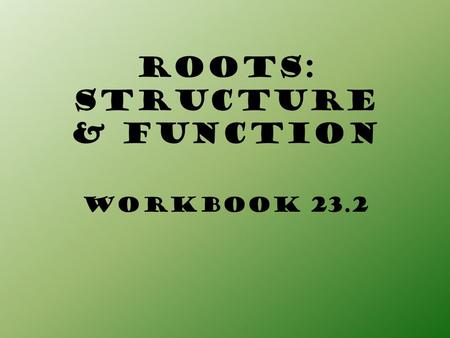 ROOTS: STRUCTURE & FUNCTION
