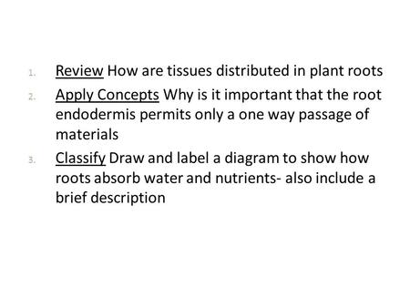 Review How are tissues distributed in plant roots