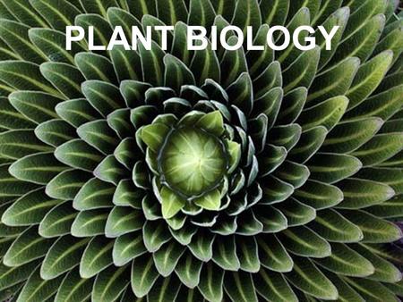 PLANT BIOLOGY.