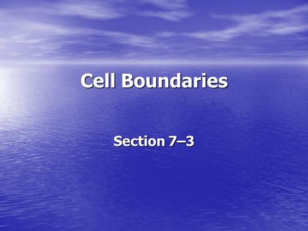 Cell Boundaries Section 7–3.