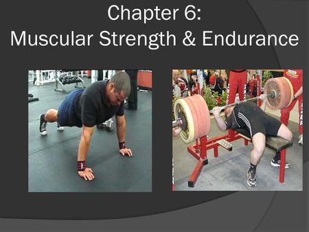 Chapter 6: Muscular Strength & Endurance. Muscular Strength and Endurance Defined  Muscular strength The ability of a muscle or muscle groups to exert.