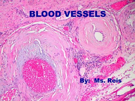 BLOOD VESSELS By: Ms. Reis.