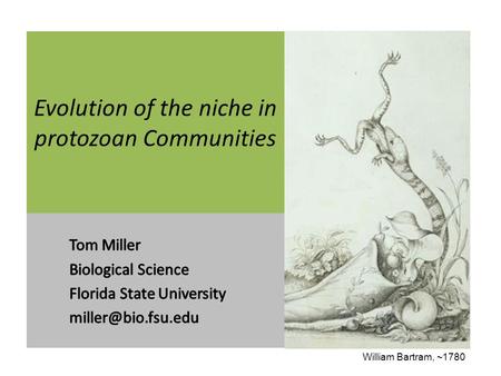 Evolution of the niche in protozoan Communities William Bartram, ~1780.
